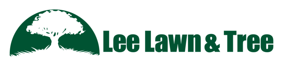 Lee lawn and Tree